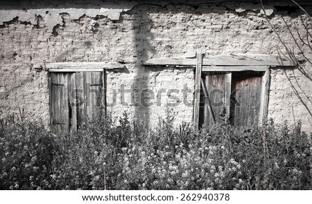 overgrown old barn with two broken doors.