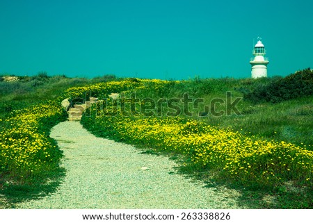 Rocky road through the field with yellow flowers to the lighthouse. Toned.
