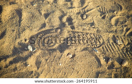 shoe print in the sand with shells