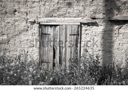 overgrown old barn with wooden door broken.