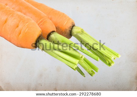 Three carrots isolated on old paper.