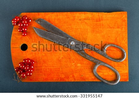 Viburnum berries and retro metall scissors on old worn out cutting board on the black background. Toned.