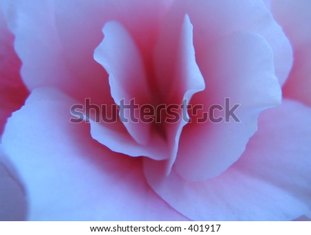 Pastel Flower