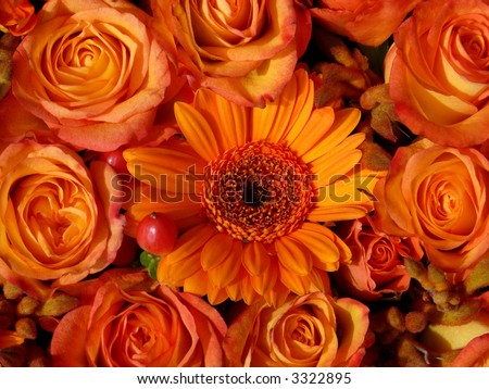 Gerbera+daisies+and+roses