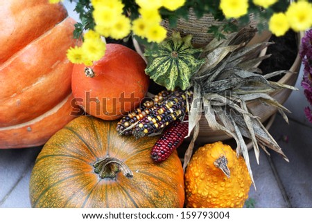 Fall terrace decorations with pumpkin and lot of flowers and other decor objects