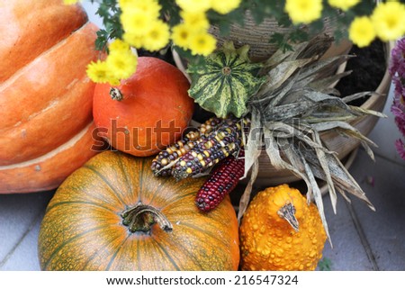 Mix of beautiful fall decorations on the terrace garden