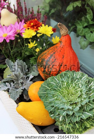 Mix of beautiful fall decorations on the terrace garden