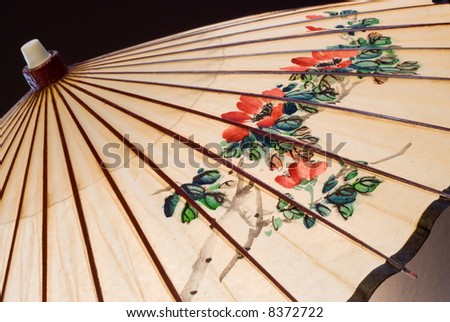 Umbrella Parasol of Asian, Japanese, or Chinese culture.