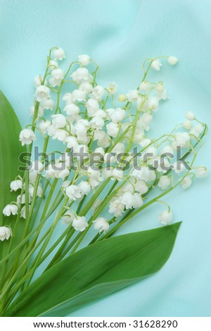 Bunch of lily of the valley on green silk background