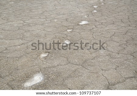 Footprints on the  cracked salt earth
