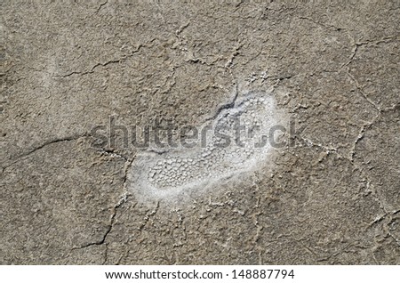 Salt footprint on the cracked ground