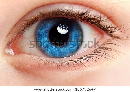 macro photo of a female eye with red blood vessels . red eyes after hay fever attack
