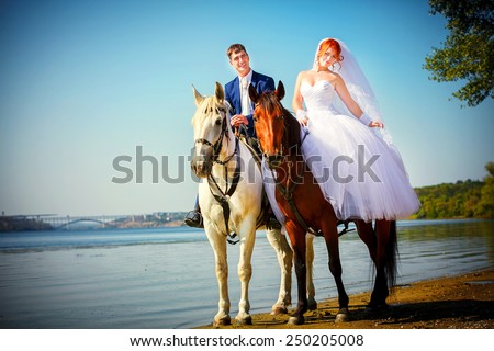 Kiss of the groom and the bride during walk in their wedding day against a white horse and brown horse