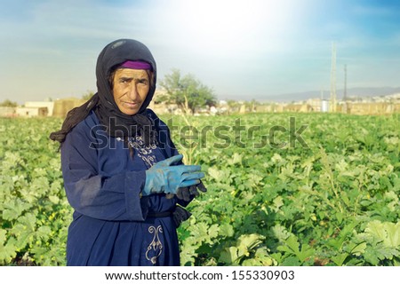 Organic Farmer woman in field
