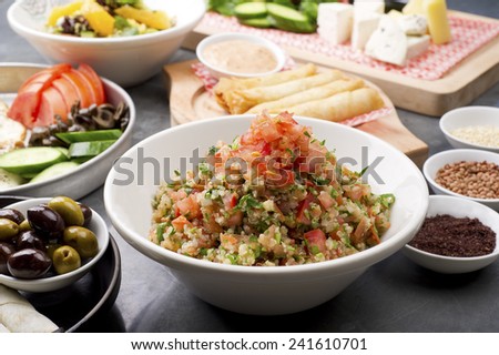 various lebanese plates / Mediterranean cuisine