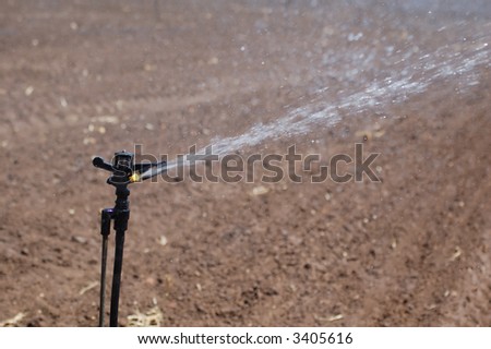 Sprinkler system in a field. Arable land.