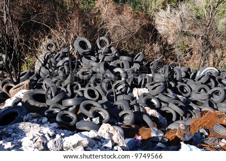 Pollution. Old automobile tire covers. A bush after a fire.