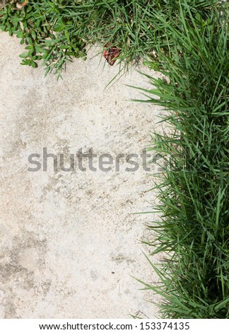 green grass on cement floor background