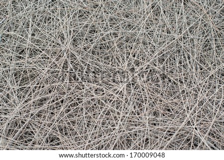 Brown pine needles mulch background