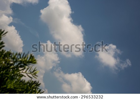 white fluffy clouds with tree blurred foreground
