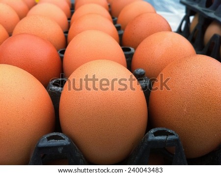 eggs in bucket at market