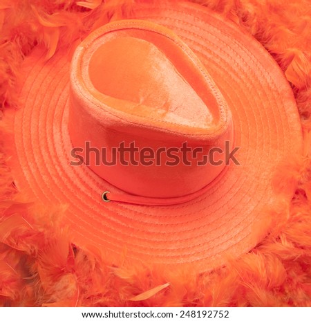 Close up orange hat and boa as tipical accessories on the Koningsdag in Amsterdam. The Netherlands.