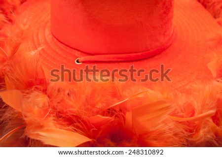 Hat and boa in an orange colour as tipical accessories on  King\'s Day in Amsterdam.