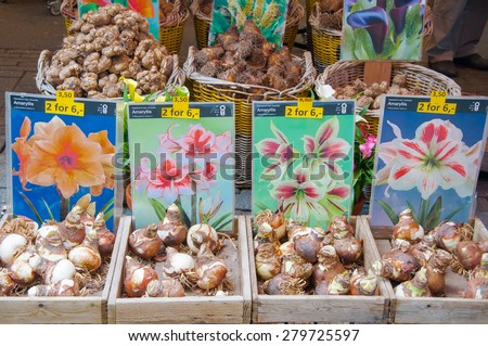 AMSTERDAM-APRIL 28: Shop inside of floating barge displays bulbs for sale on the Amsterdam Flower Market on April 28,2015.The Flower market is one of Amsterdam most colourful attractions.