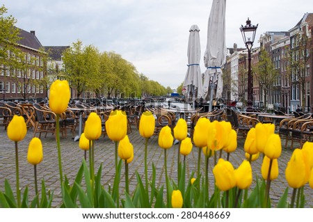 Amsterdam cityscape with tulips on the bridge on the foreground and outside cafe on the background, the Netherlands.