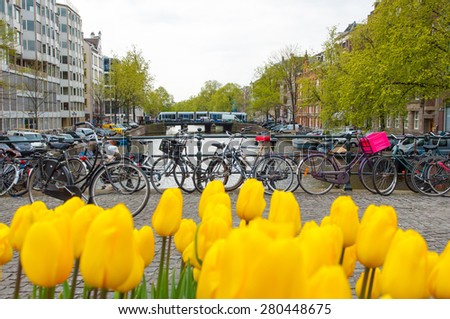 Amsterdam cityscape with yellow tulips on the foreground and bikes on the background, the Netherlands.