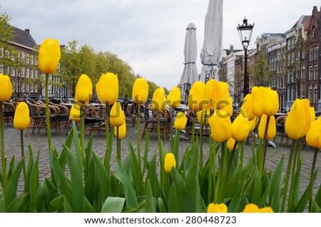 Amsterdam cityscape with tulips on the foreground and outside cafe on the background, the Netherlands.