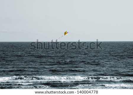 The photograph of a flying kite in the wind. In the background is the sea/Kite in the Wind
