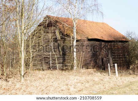 The photograph of a disintegrating barn at an edge of the forest / Old barn
