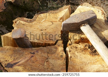 A wooden wedge was beaten into a wooden trunk with a hammer / Wood wedge and hammer