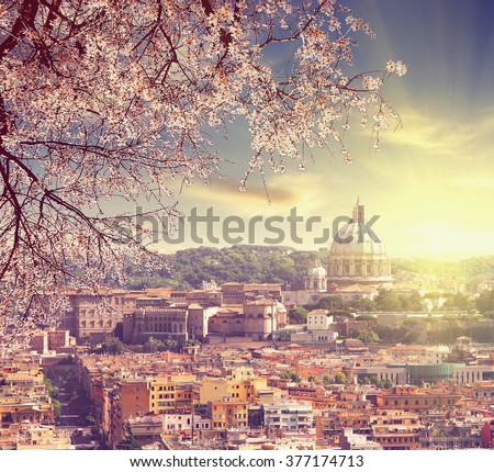 Aerial View of St. Peter's cathedral in Rome, Italy at spring sunset  Counter light shot Vintage colored picture Love and travel concept
