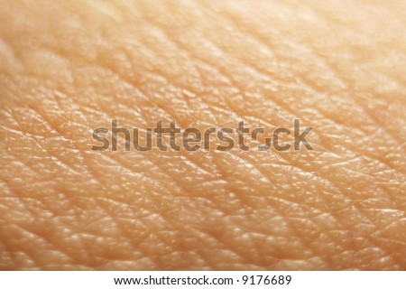 skin macro stock photos images pictures skin macro stock photo 9176689 skin macro stock photos images pictures skin macro stock photo 9176689