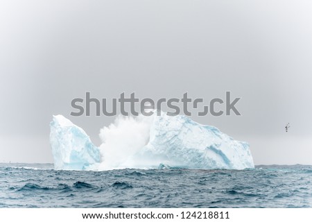 Iceberg in the Ocean. South Georgia, British overseas territory, Southern Atlantic Ocean.