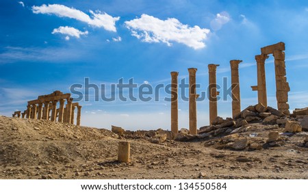 Sunny day in the desert of Syria, Roman ruins