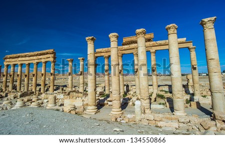 Roman columns of an ancient city in central Syria, Palmyra