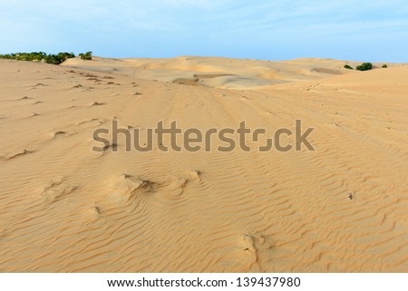 Sand of the desert on a sunny hot day
