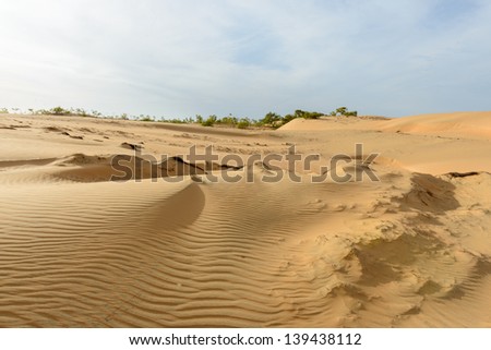 Dunes of the Sahara desert, the world\'s hottest desert