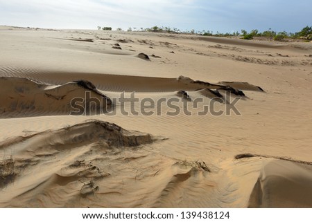 Dunes of the Sahara desert, the world\'s hottest desert