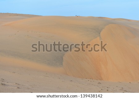 The Sahara, the world\'s hottest desert, the third largest desert after Antarctica and the Arctic