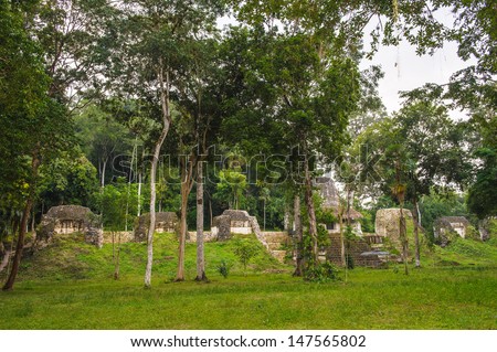 Nature on Plaza of Seven Temples, Maya civilization, Mundo Perdido, Guatemala