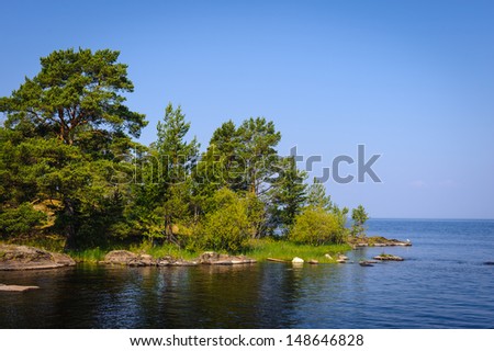 Beautiful nature of the sunny summer day in Russia