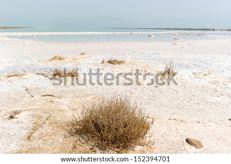 Dead Sea, also called the Salt Sea, is a salt lake bordering Jordan to the east and Israel and Palestine to the west.