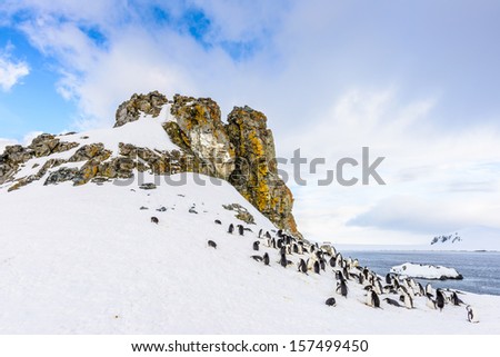 Snow mountains of the Half Moon Island, an Antarctic island, the South Shetland Islands of the Antarctic Peninsula region.