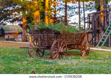 Small wooden wheel carriage with the plants inside on the grass in the village