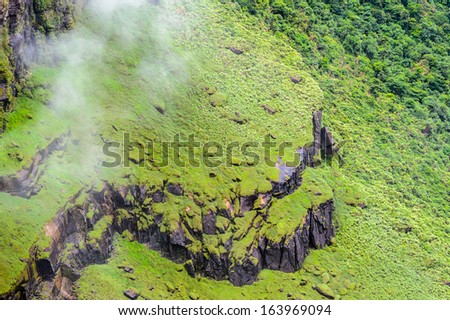Aerial view of the  Kaieteur NAtional Park, Guyana, South America