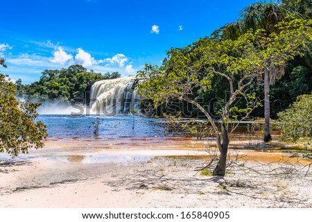 Nature Of The Canaima National Park, Venezuela, South America
